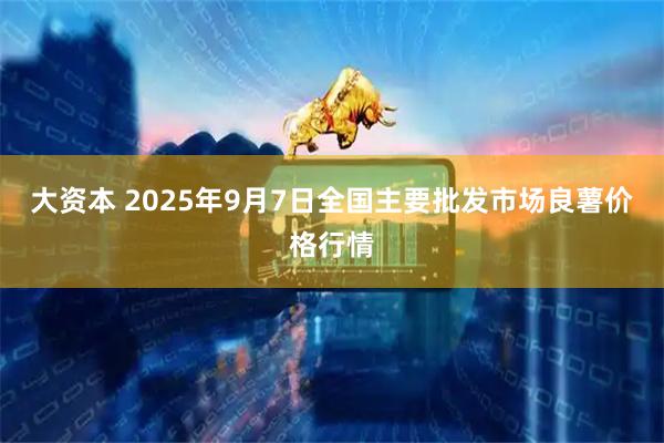 大资本 2025年9月7日全国主要批发市场良薯价格行情