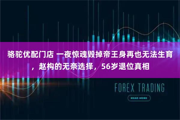 骆驼优配门店 一夜惊魂毁掉帝王身再也无法生育，赵构的无奈选择，56岁退位真相