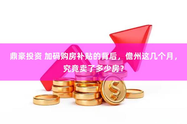 鼎豪投资 加码购房补贴的背后，儋州这几个月，究竟卖了多少房？