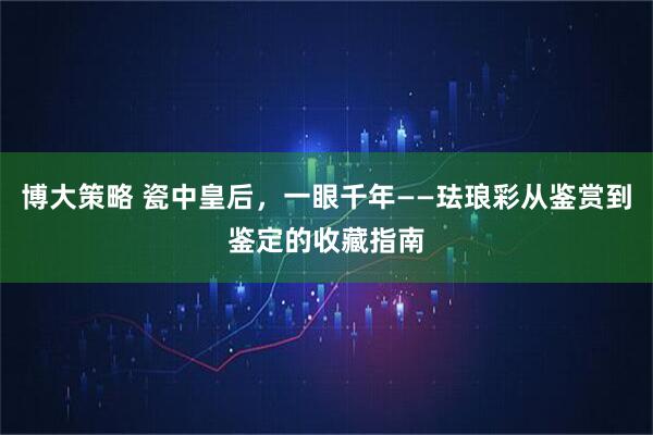博大策略 瓷中皇后，一眼千年——珐琅彩从鉴赏到鉴定的收藏指南