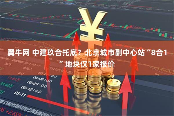翼牛网 中建玖合托底？北京城市副中心站“8合1”地块仅1家报价