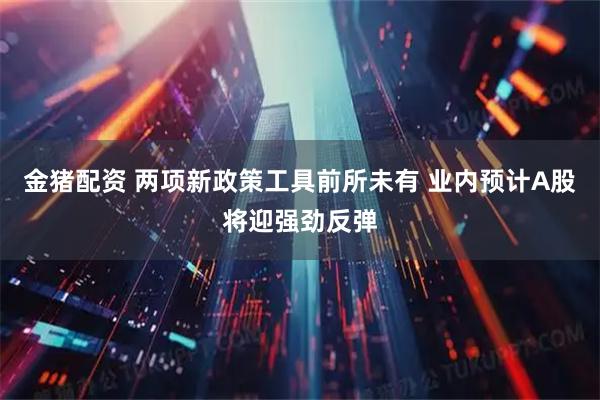 金猪配资 两项新政策工具前所未有 业内预计A股将迎强劲反弹