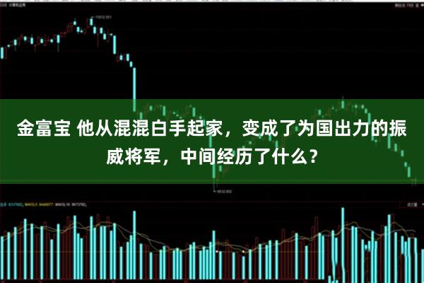 金富宝 他从混混白手起家，变成了为国出力的振威将军，中间经历了什么？